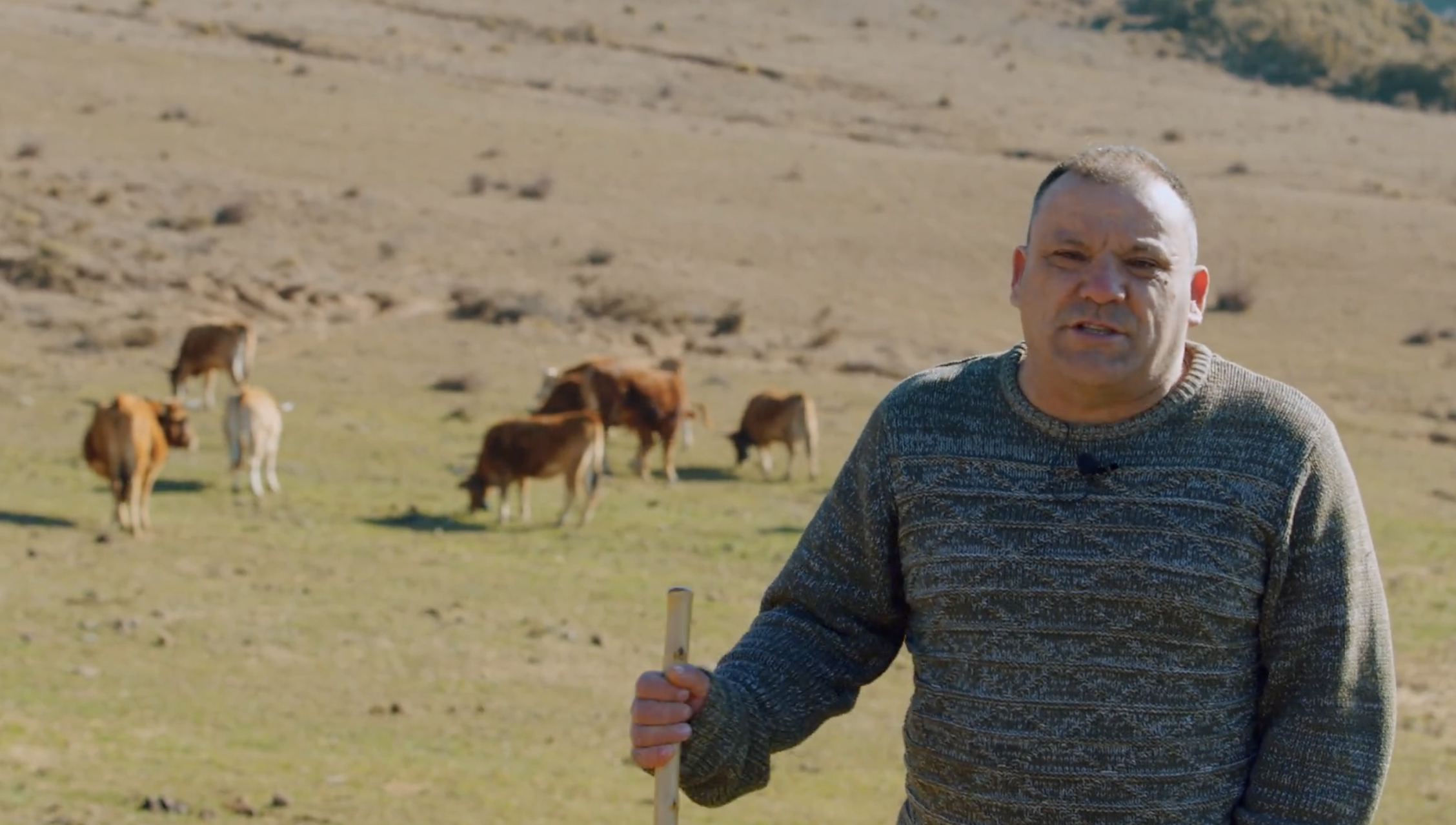 Pedro Berrade, ganadero en Navarra