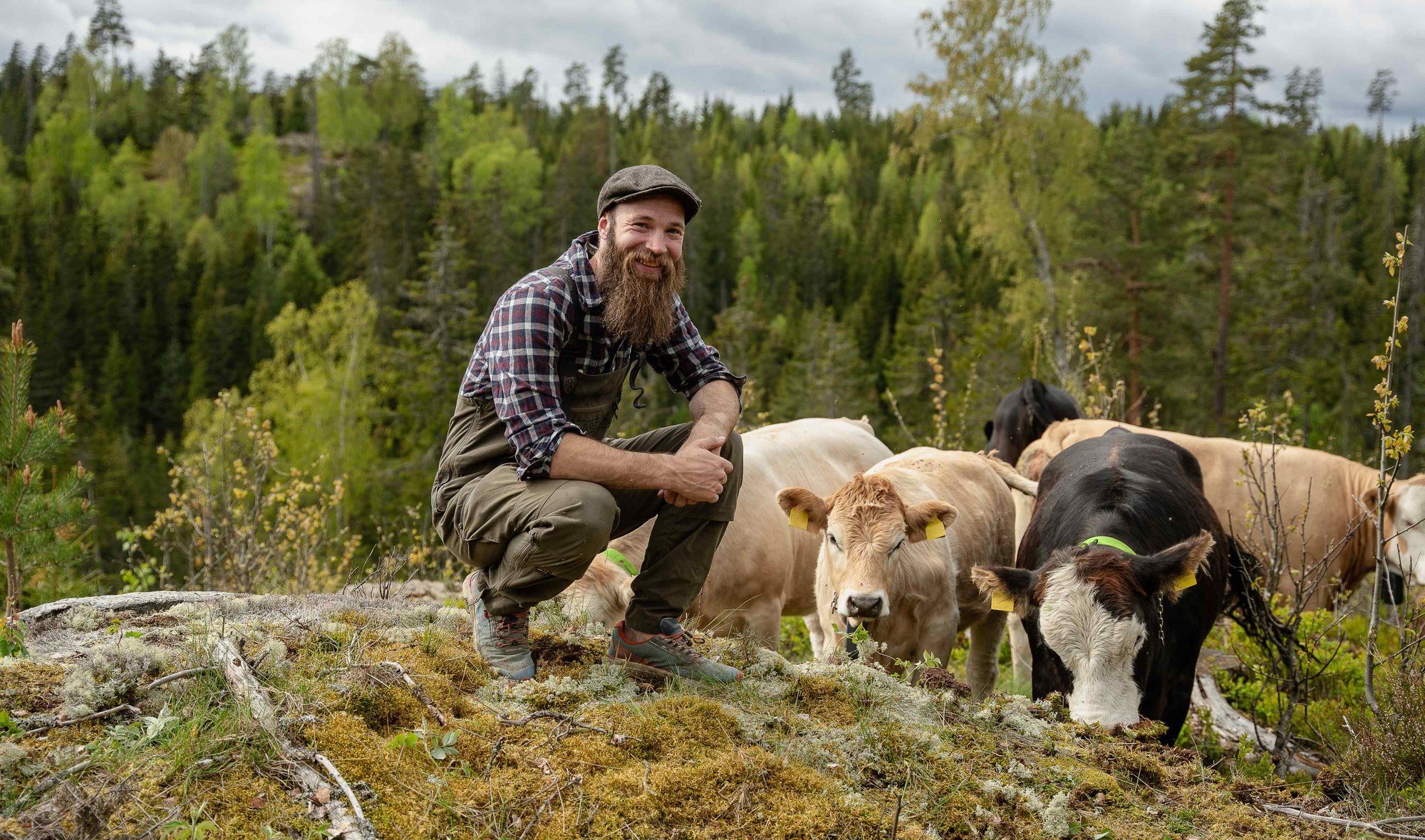 DSC04032_Gjerdrum_web_crop DSC04032_Gjerdrum_web_crop