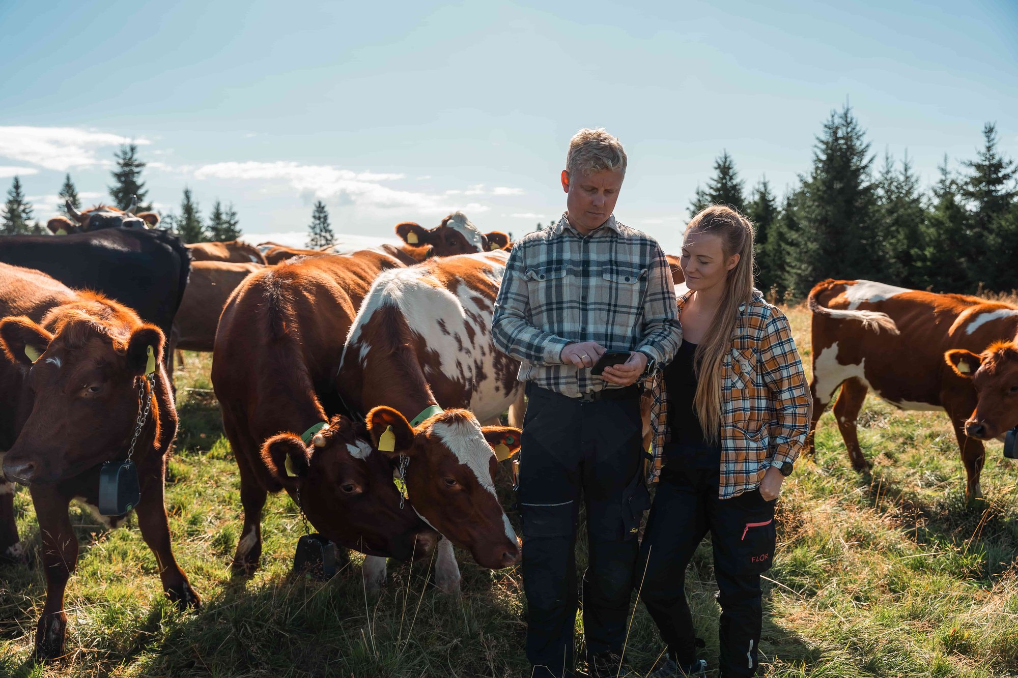 grini-gard-nofence-brummundal