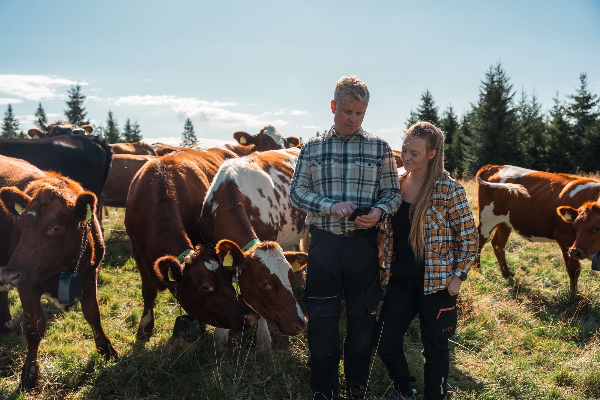 DSC08572_Brummundal DSC08572_Brummundal