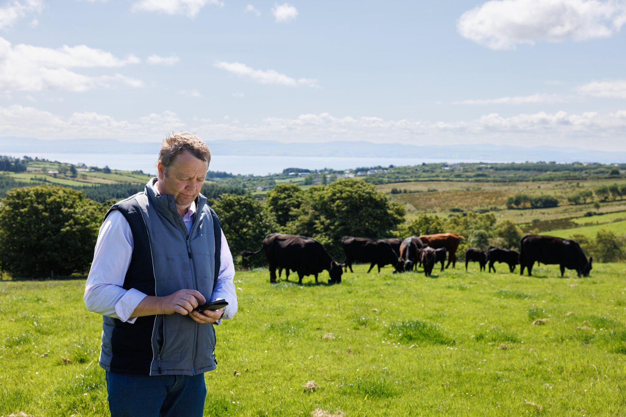 James - with phone and cattle James - with phone and cattle