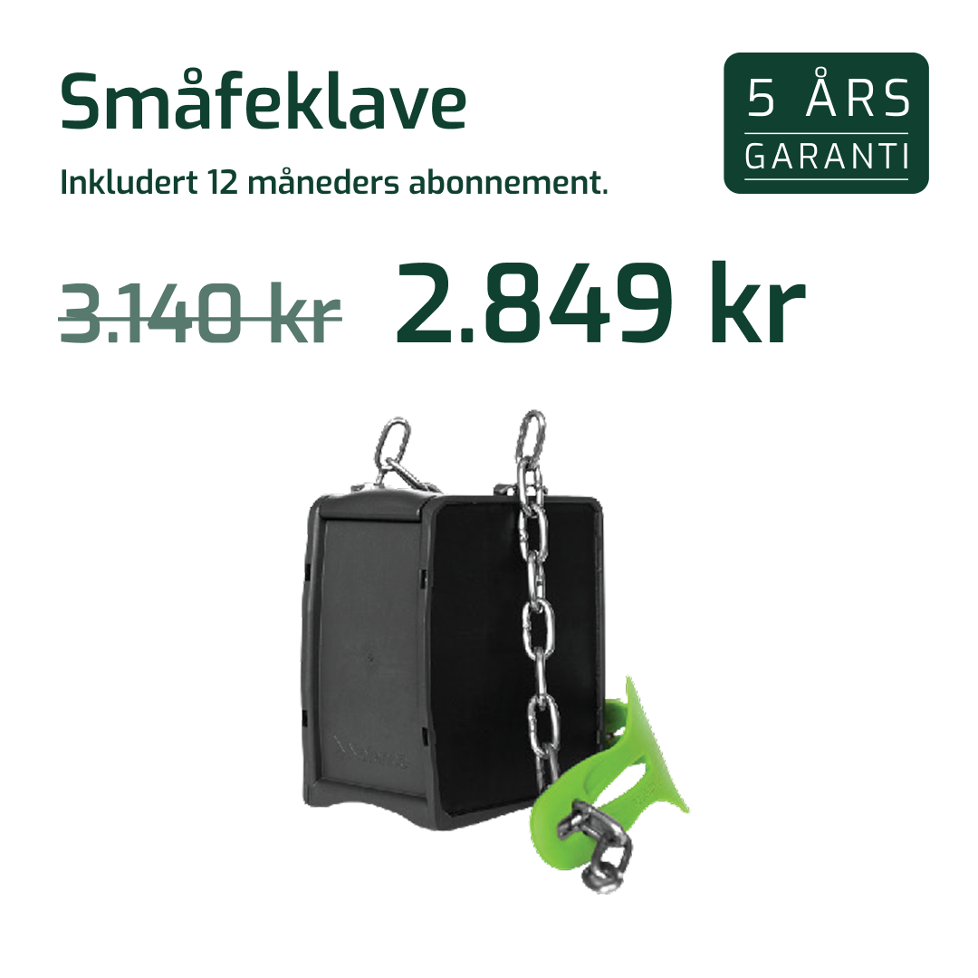 NO - Paid SoMe - Price reduction - DES-548 - 1x1 - Småfeklave