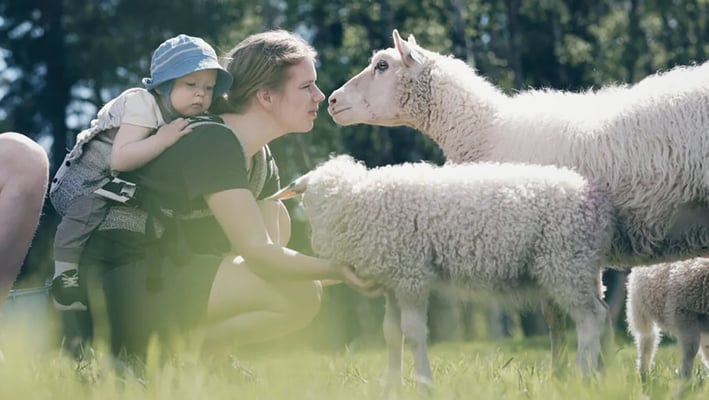 Mother and child with sheep