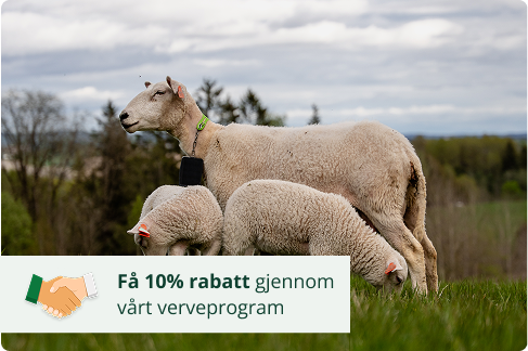 Referral section picture NO