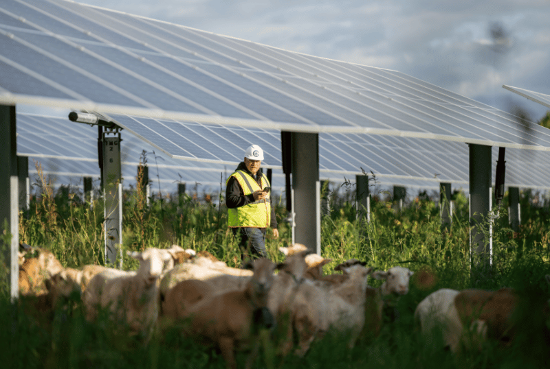 User Story_BeauStafford_Tile Image D_800x538