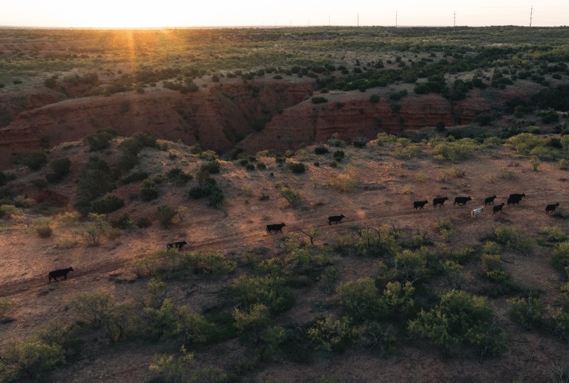 User Story_Bob Spikes_Tile Image_800x538