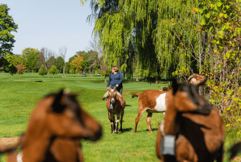 User Story_Stephanie Bowers_Tile Image_800x538 User Story_Stephanie Bowers_Tile Image_800x538