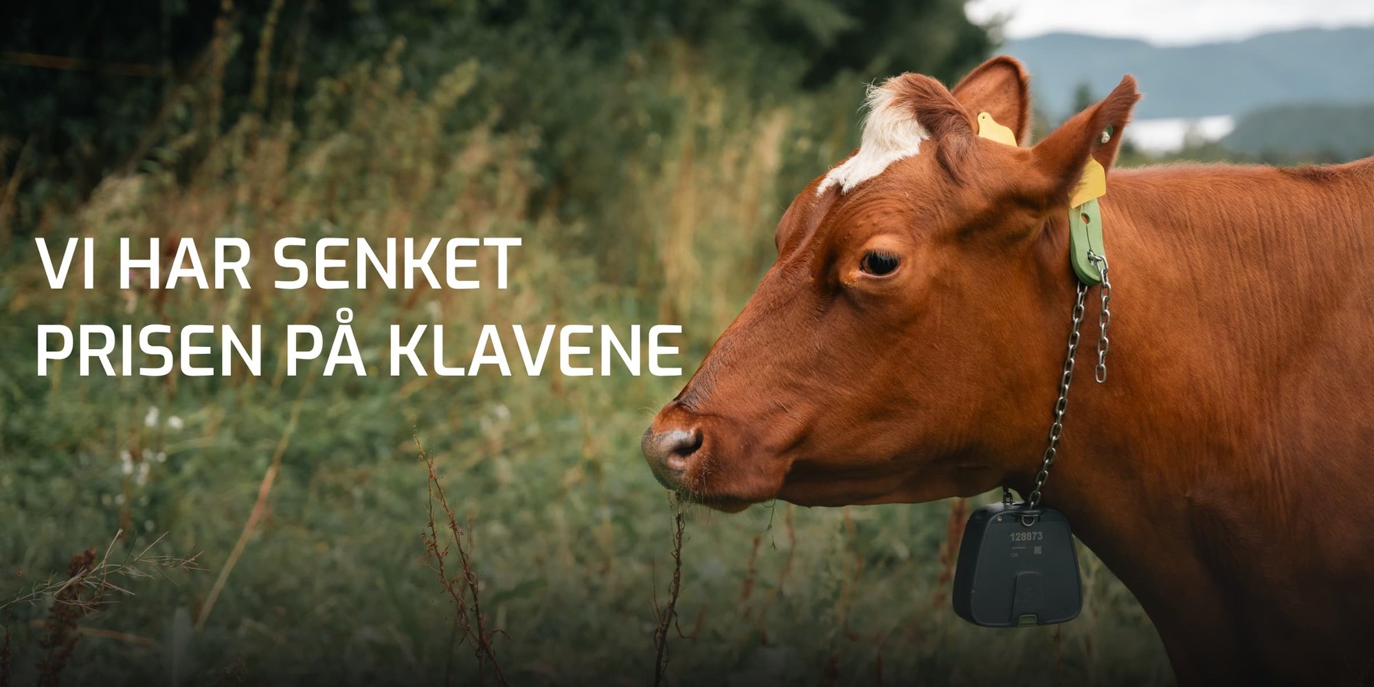 email header - detailed (1)