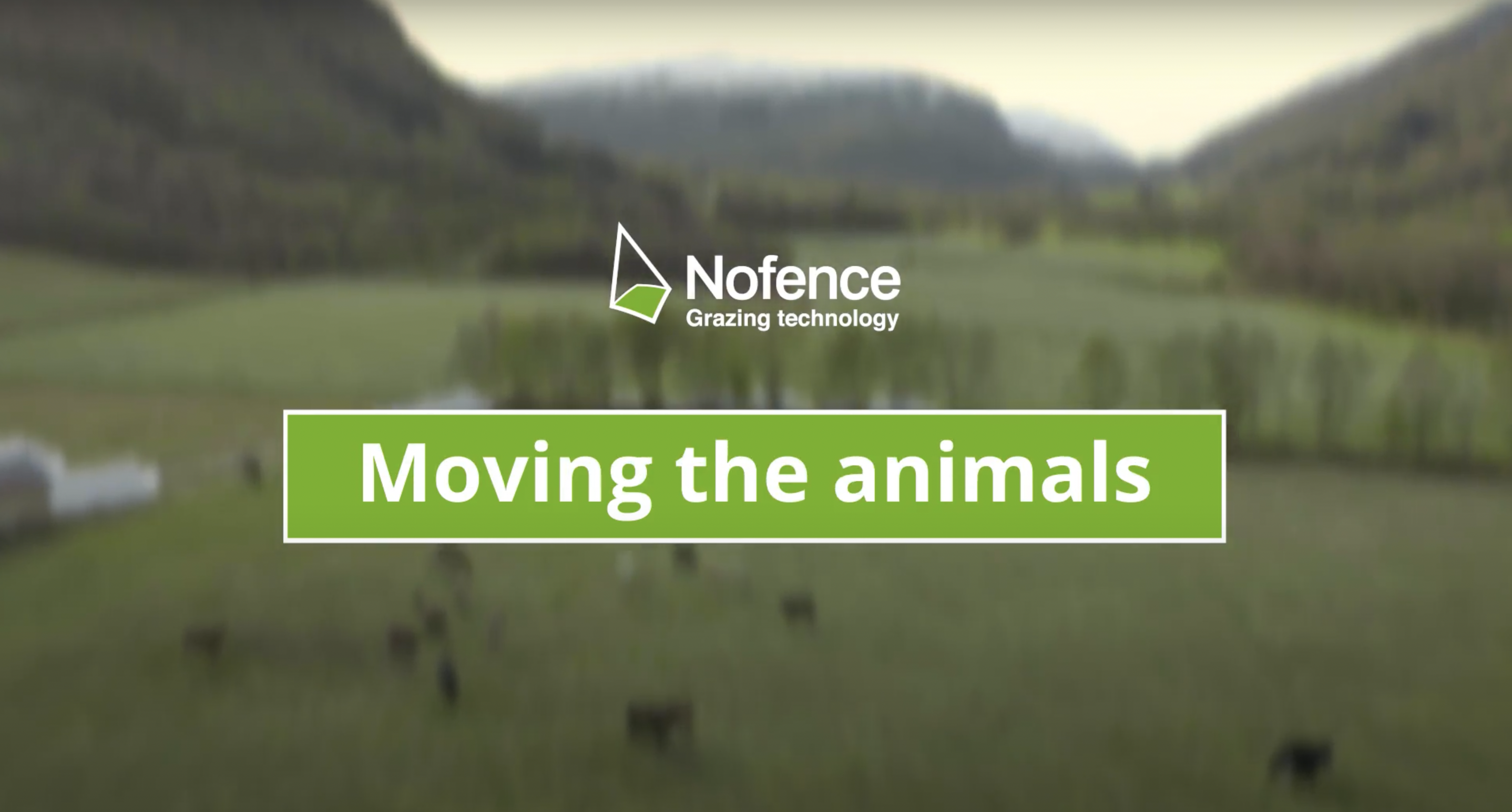 Moving the animals with Nofence