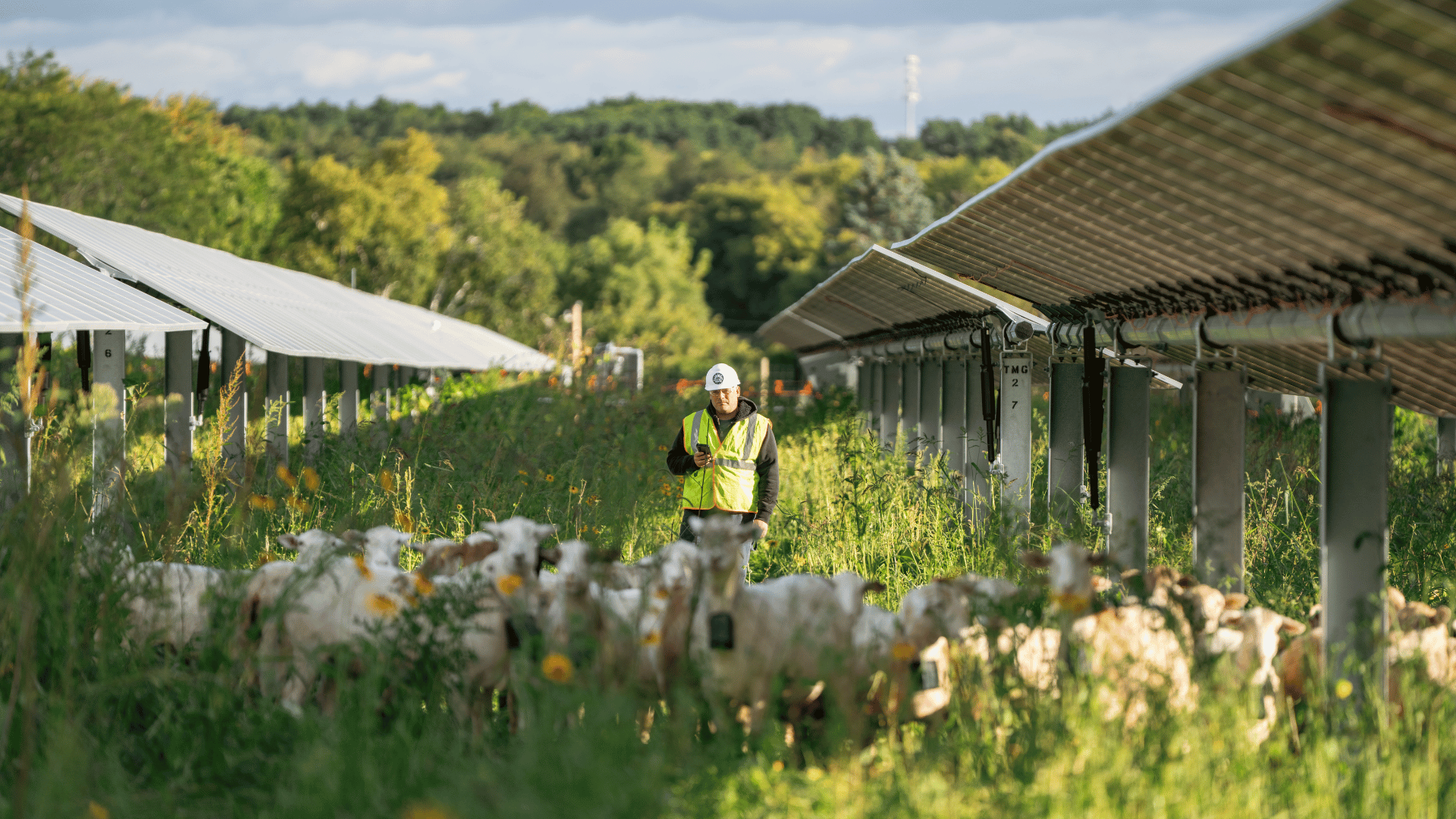 Header Image_BeauStafford_User Story-1