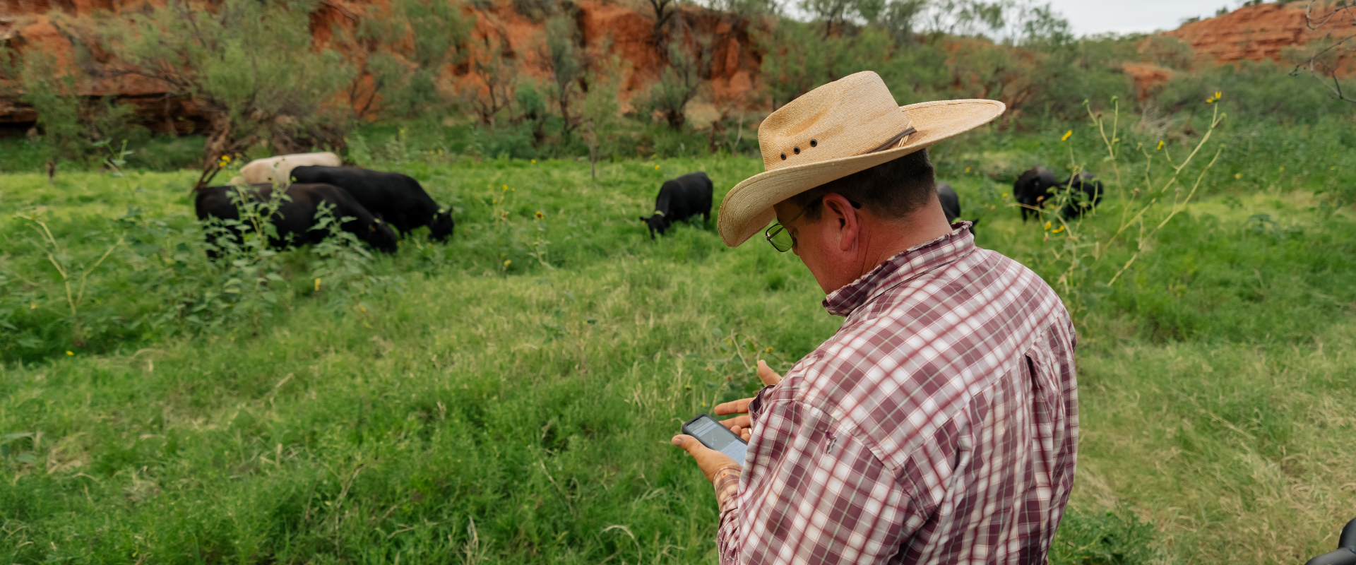 Header Image_Bob Spikes_User Story