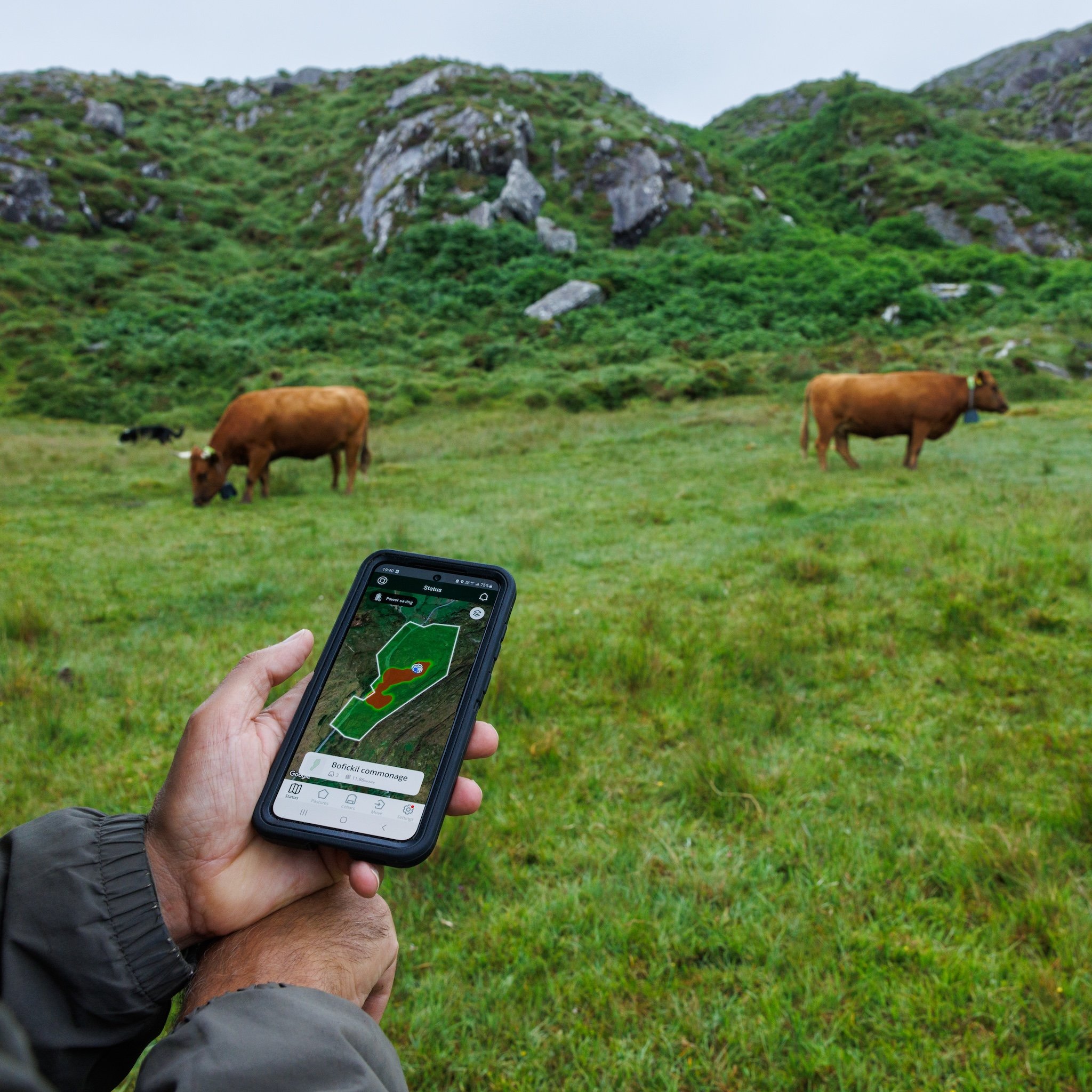 NoFence-Ireland-HBL-square-2478_Eoghan