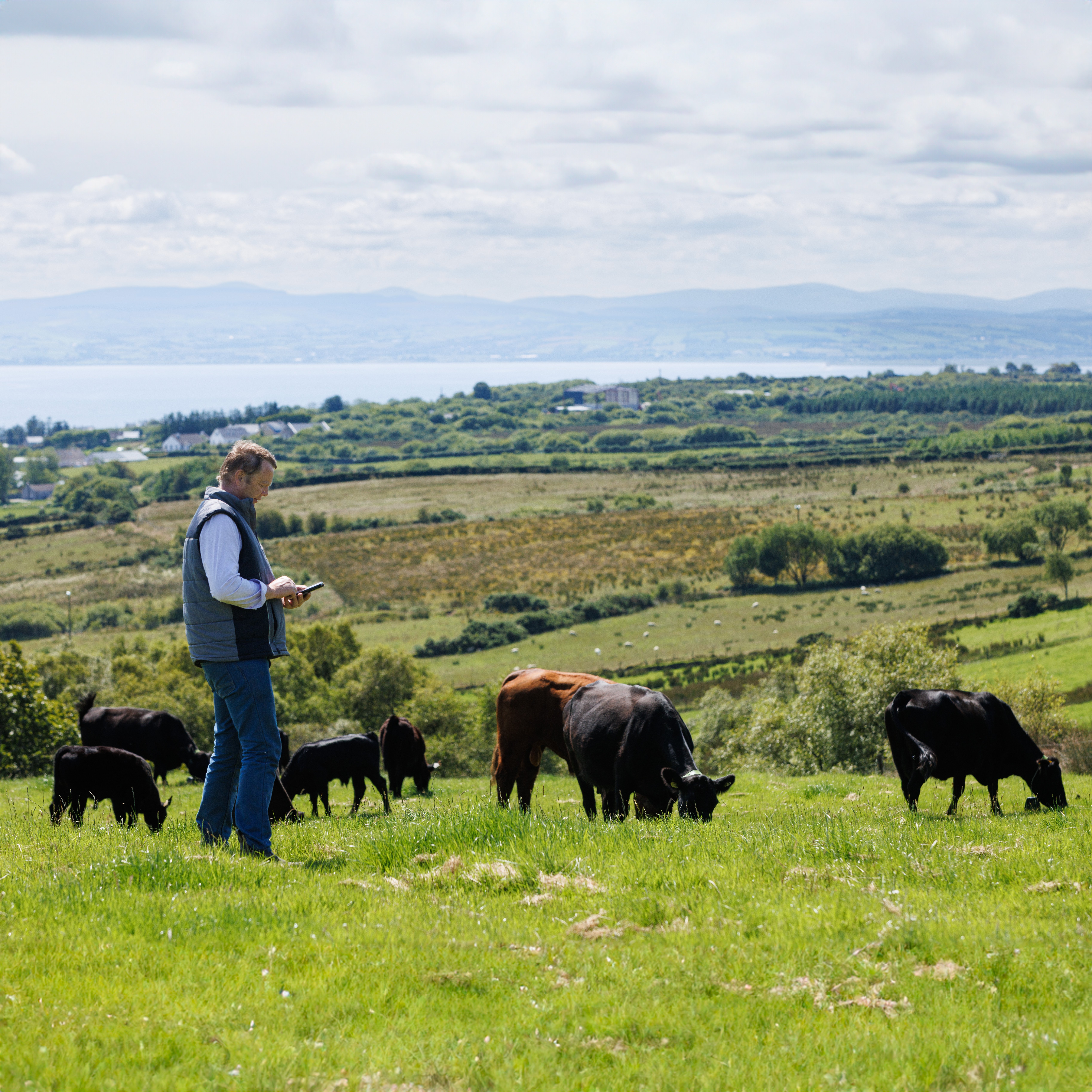 NoFence-Ireland-HBL-square-2756_James