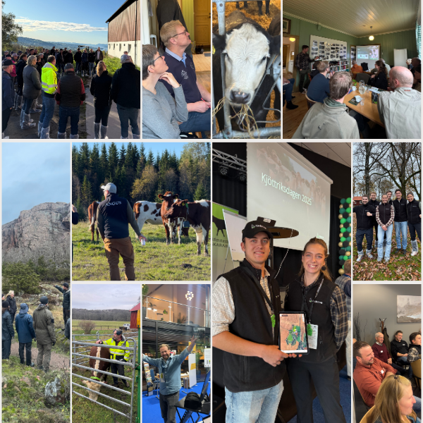 Nofence er (600 x 600 px)