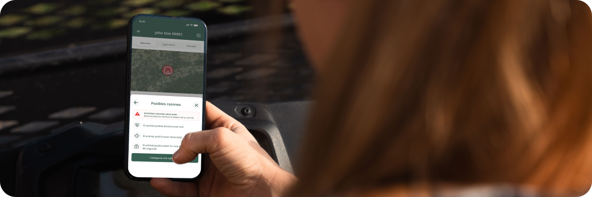 RAD - ES Page header - desktop