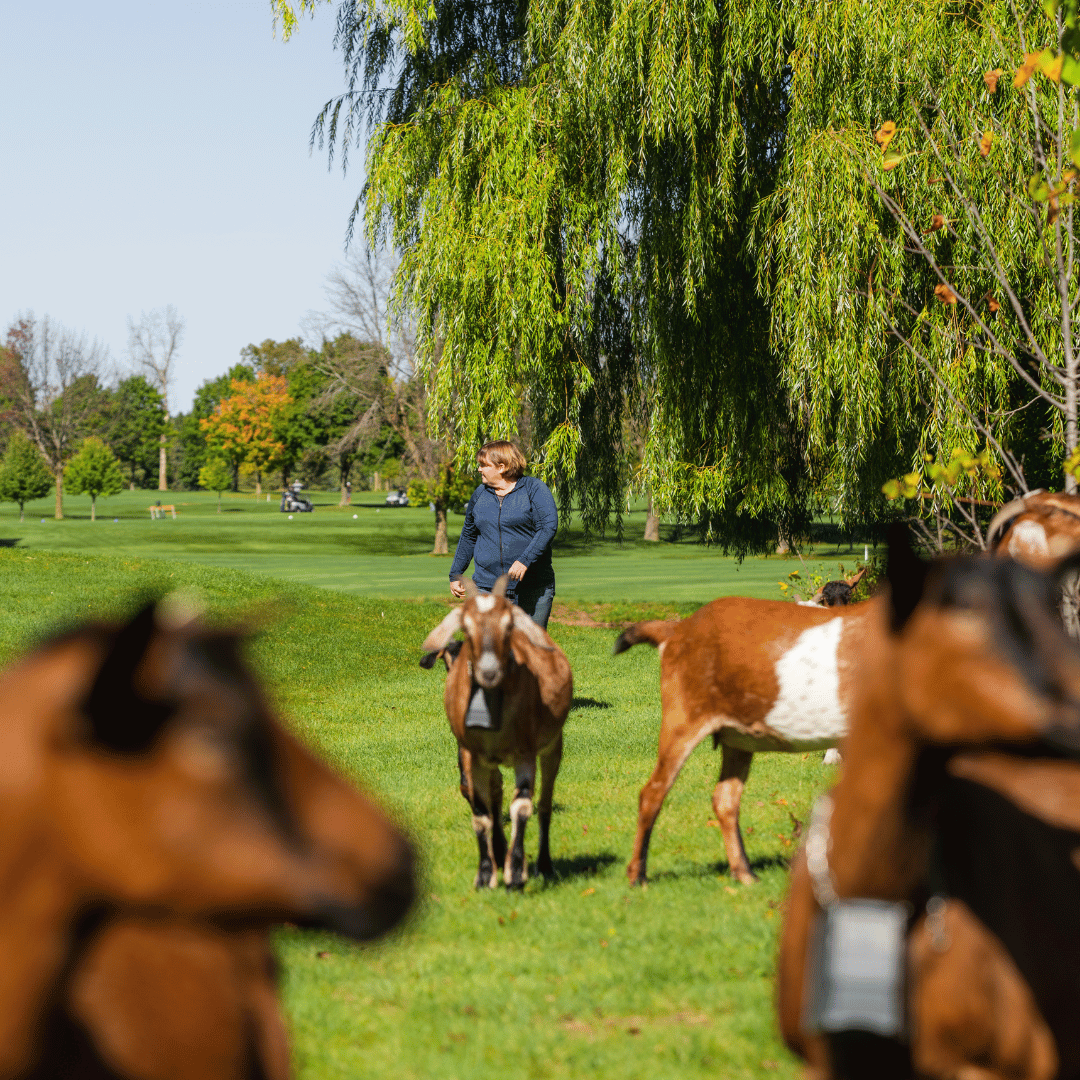 User Story_Stephanie Bowers_FeatureImage_Square