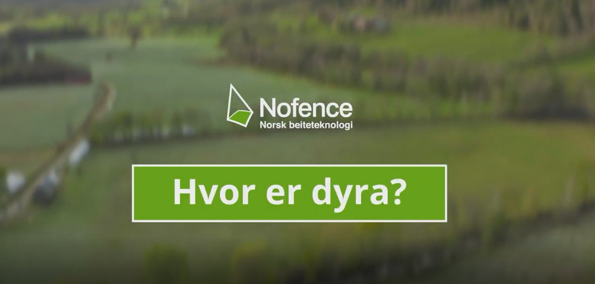 Lokalisere dyra