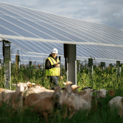 Website Home_US Testimonial_Beau Stafford_400x400