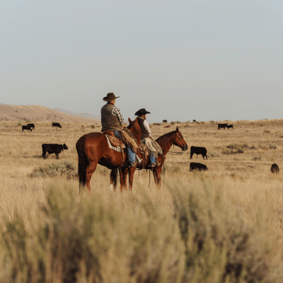 Website Home_US Testimonial_Cory Bird_400x400